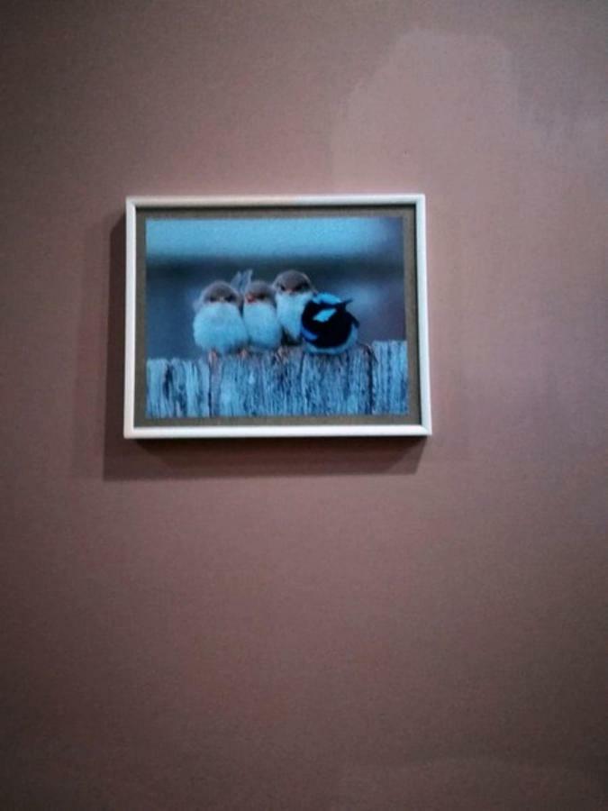 Birdhome In تبليسي المظهر الخارجي الصورة